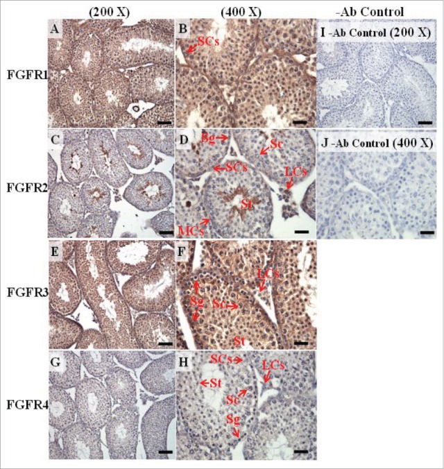 FIGURE 11.