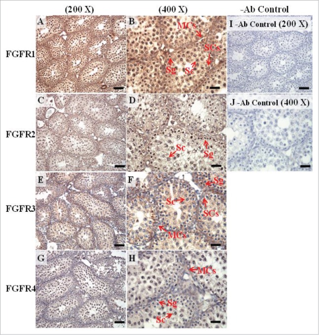 FIGURE 10.