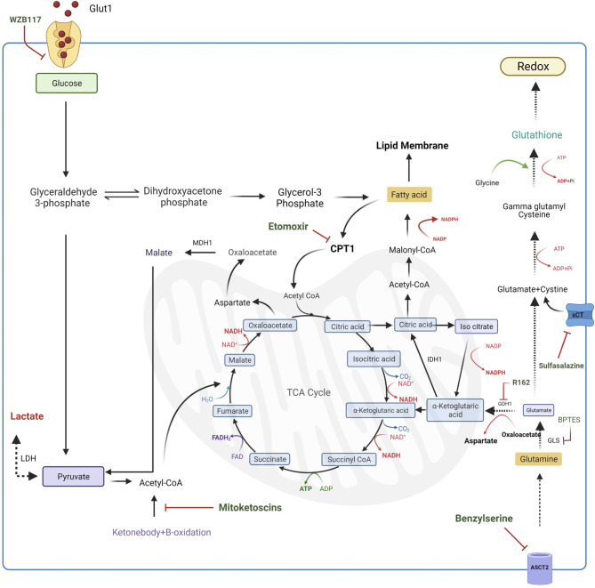 Figure 4