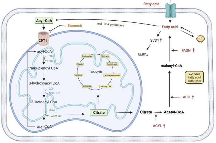 Figure 3