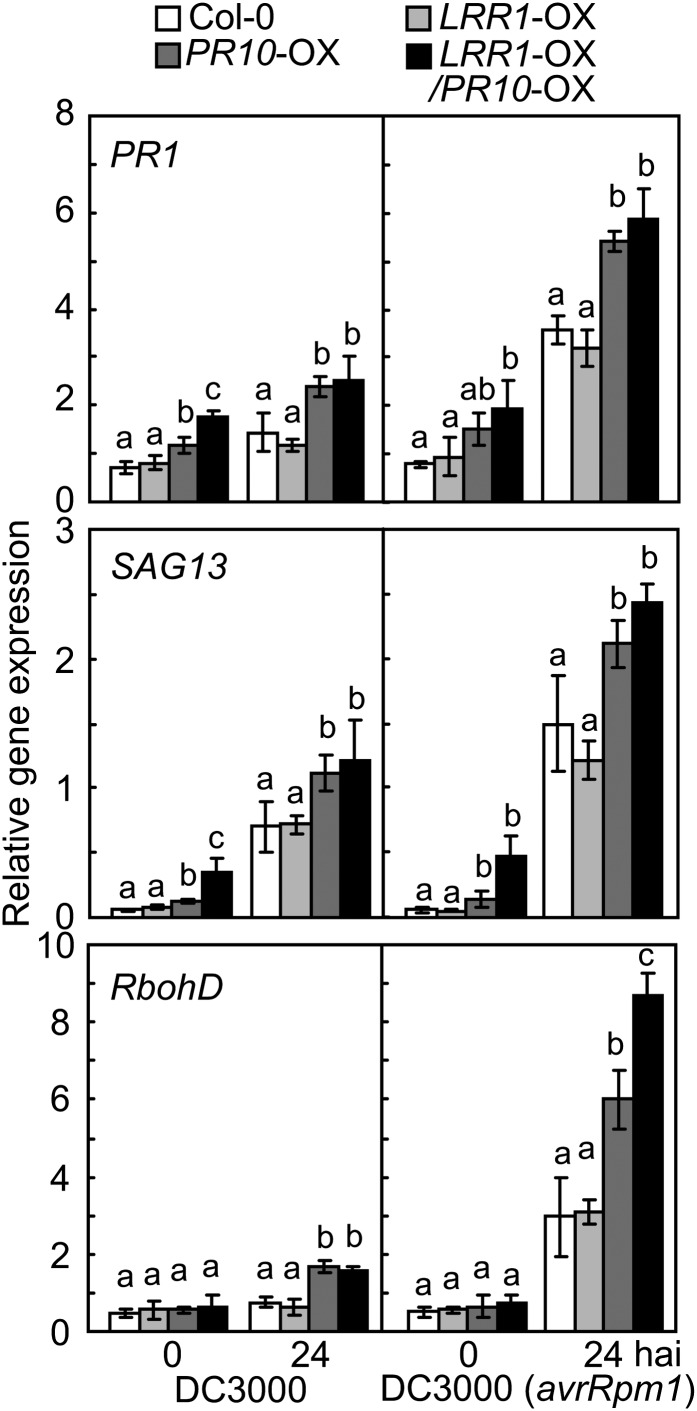 Figure 9.