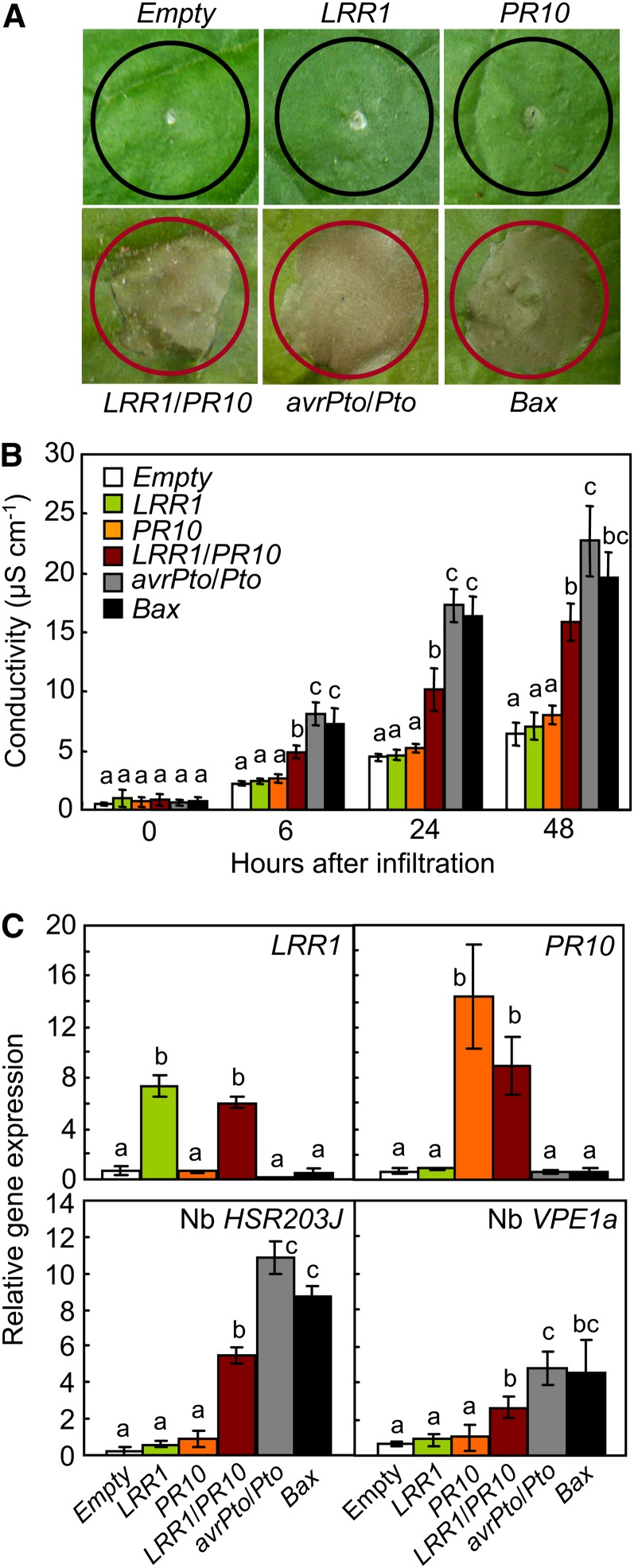 Figure 3.