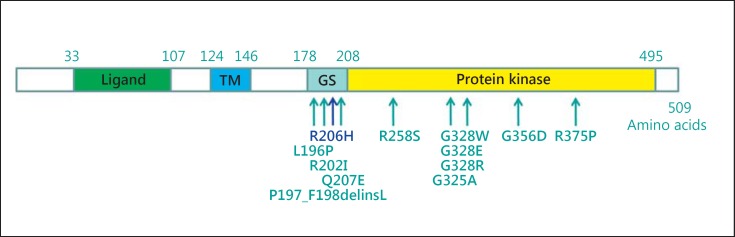 Fig. 2