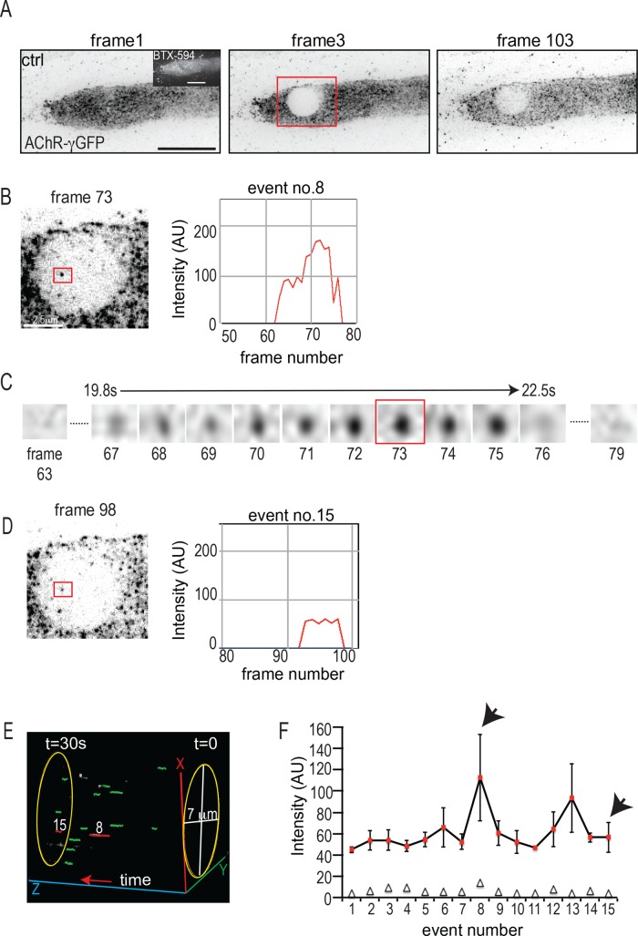 FIGURE 6: