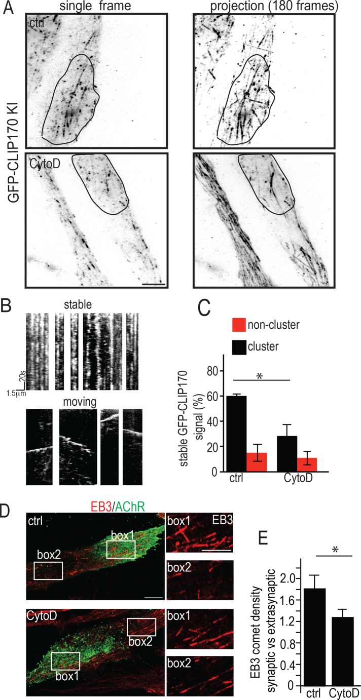 FIGURE 5: