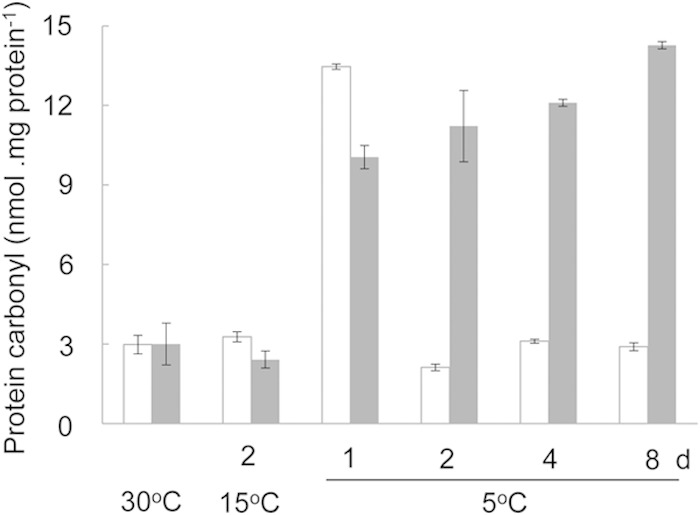 FIG 10