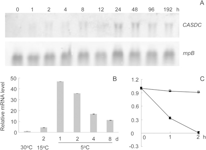 FIG 2