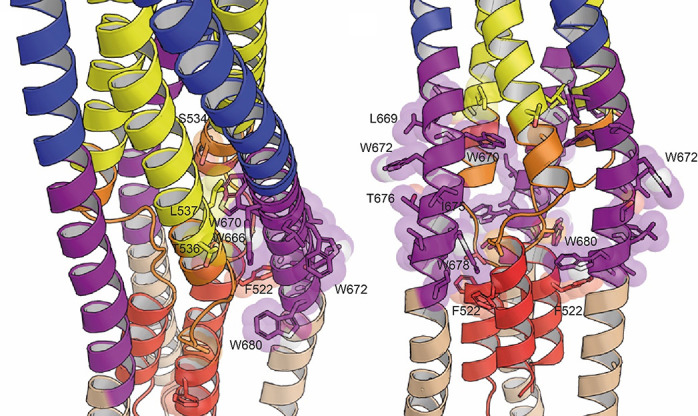 Figure 4—figure supplement 2.