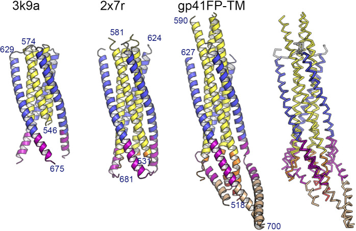 Figure 1—figure supplement 4.