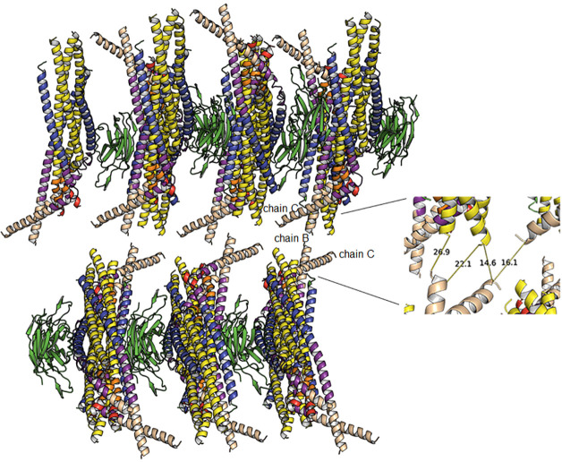 Figure 1—figure supplement 6.