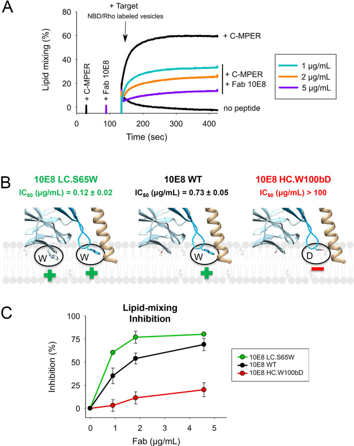 Figure 2—figure supplement 1.