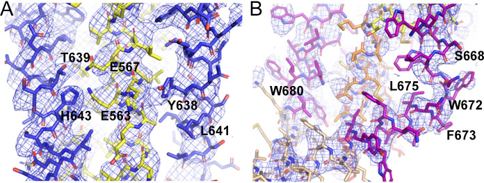 Figure 1—figure supplement 3.