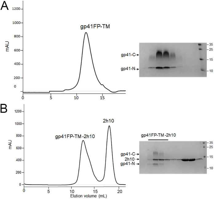 Figure 1—figure supplement 1.