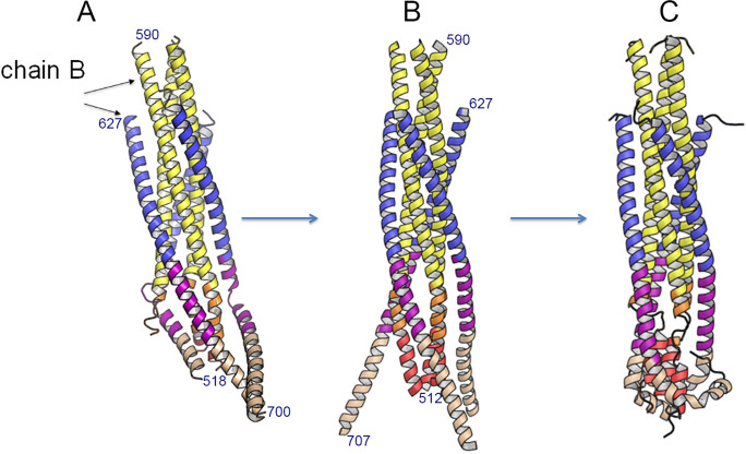 Figure 4—figure supplement 1.