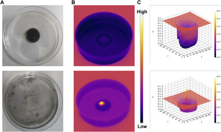 FIGURE 3