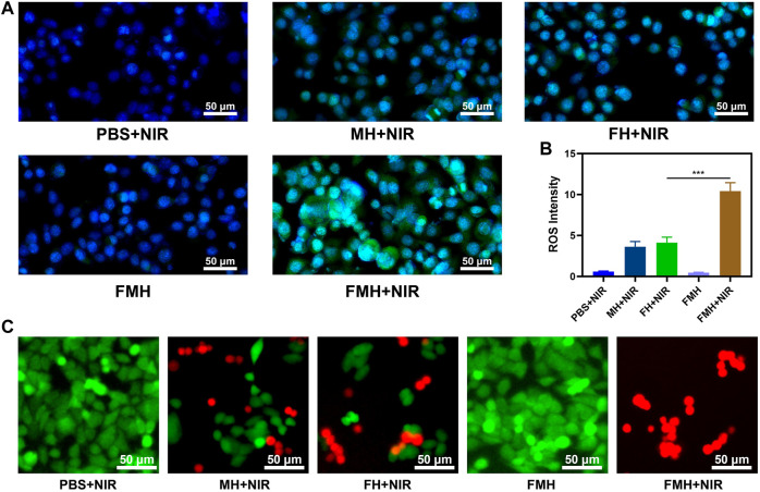 FIGURE 4