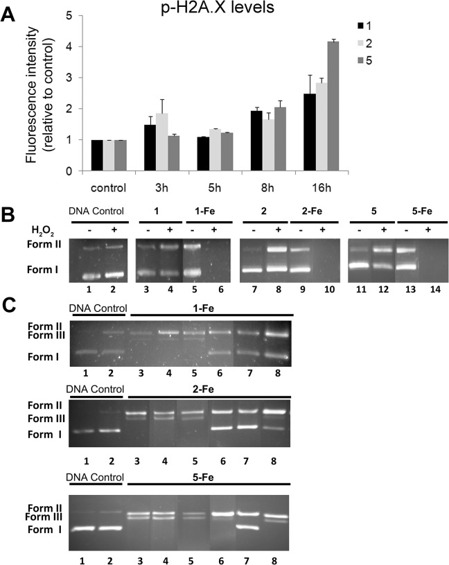 Fig 10