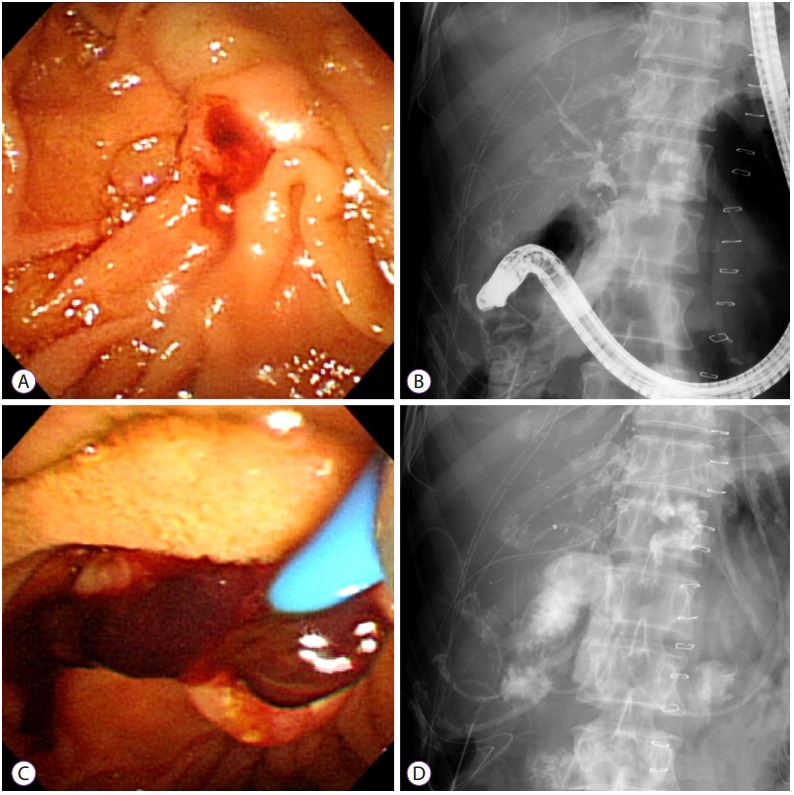 Fig. 6.