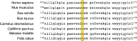 Figure 5—figure supplement 2.