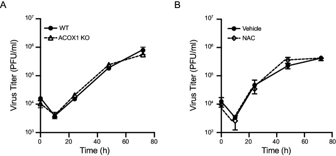 Figure 3—figure supplement 1.