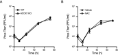 Figure 3—figure supplement 1.