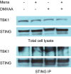 Figure 4—figure supplement 2.