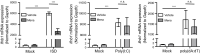 Figure 2—figure supplement 1.