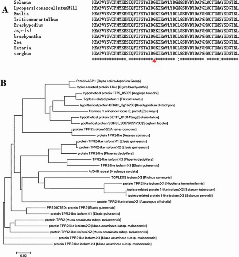 Fig. 8