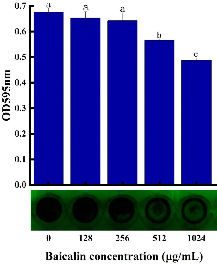 Figure 13