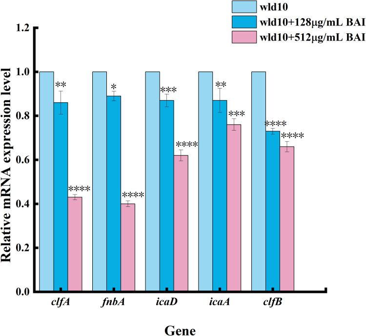 Figure 12