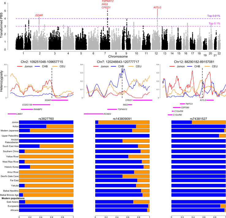 Figure 3