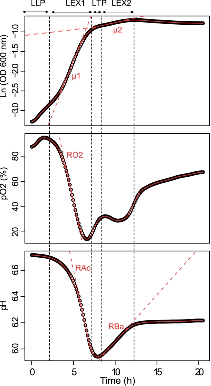 Fig. 2.