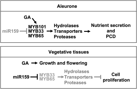 Figure 10.