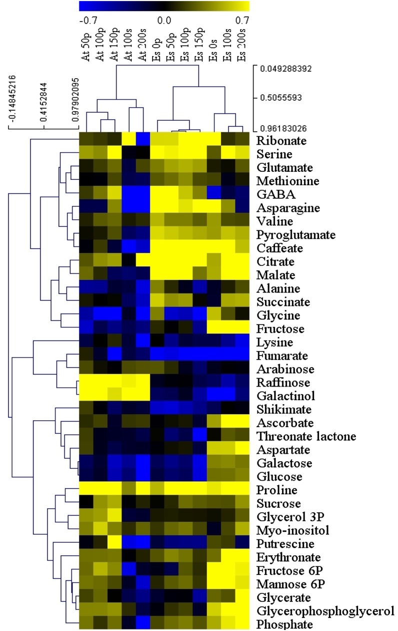 Figure 7.