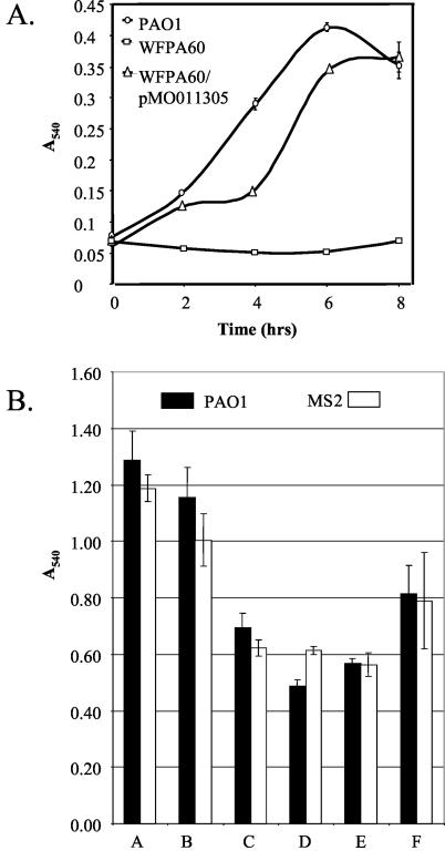 FIG. 2.