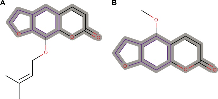 Figure 8