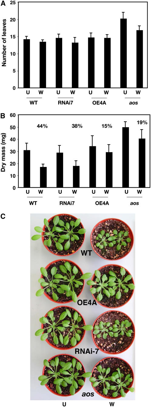 Figure 6.