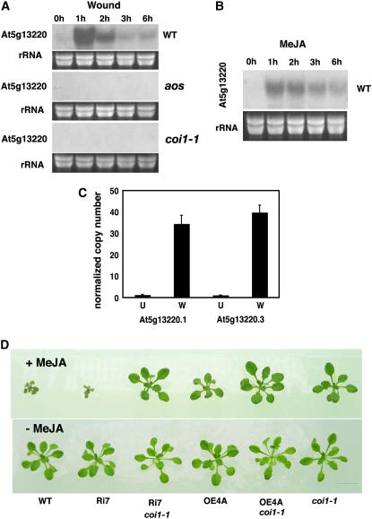 Figure 4.