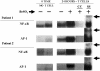 <b>Figure 4.</b>