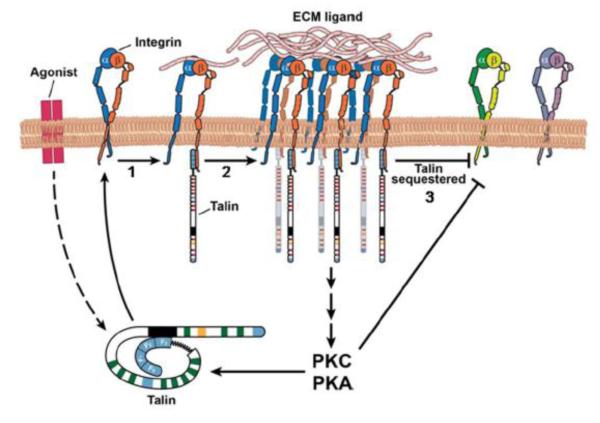 Fig 4