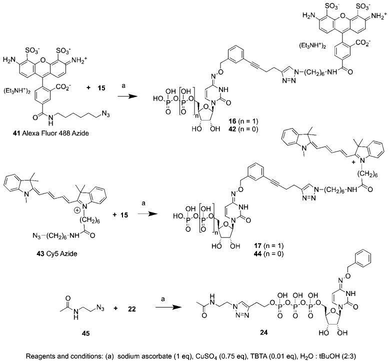 Scheme 2