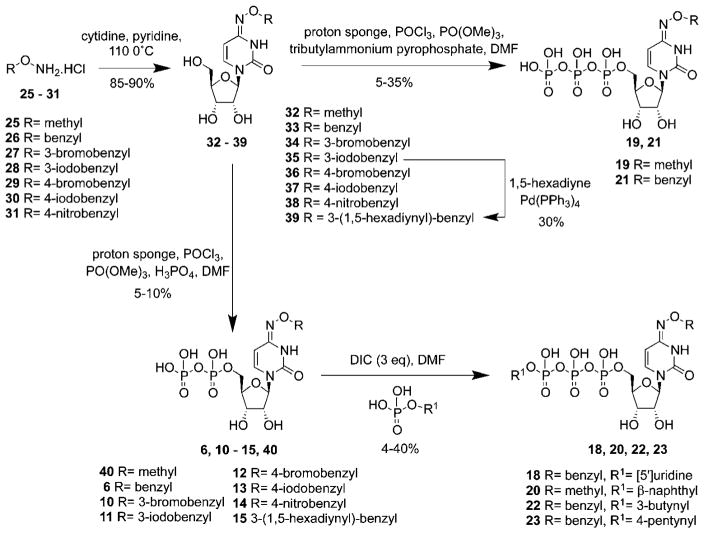 Scheme 1