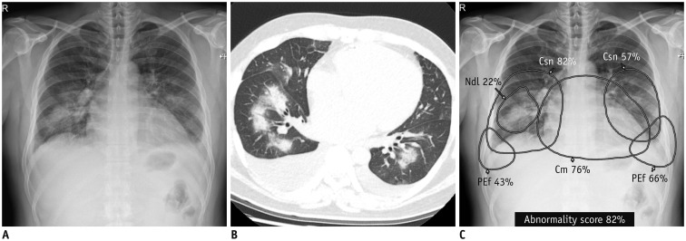 Fig. 2