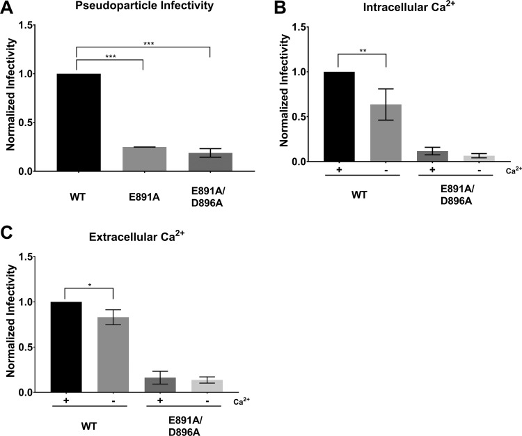 FIG 6