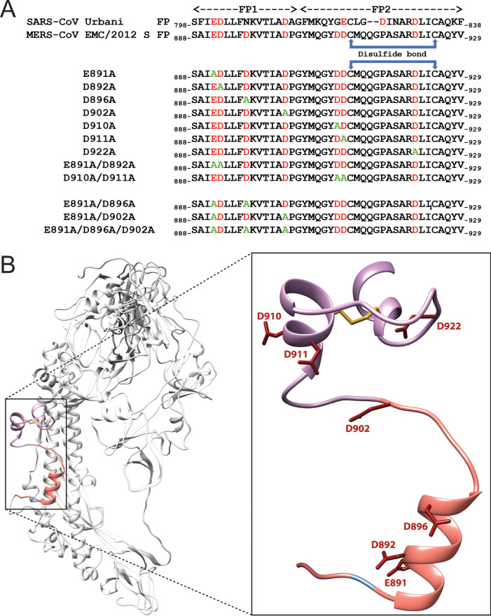 FIG 1