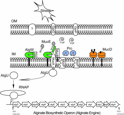 Fig. 4.