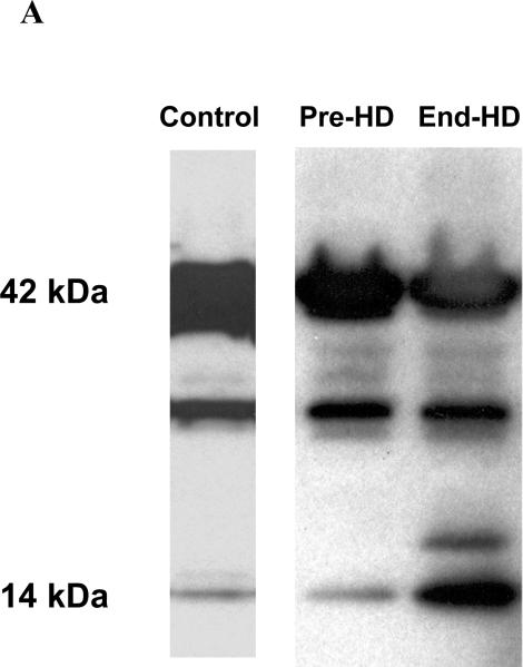 Figure 3 A