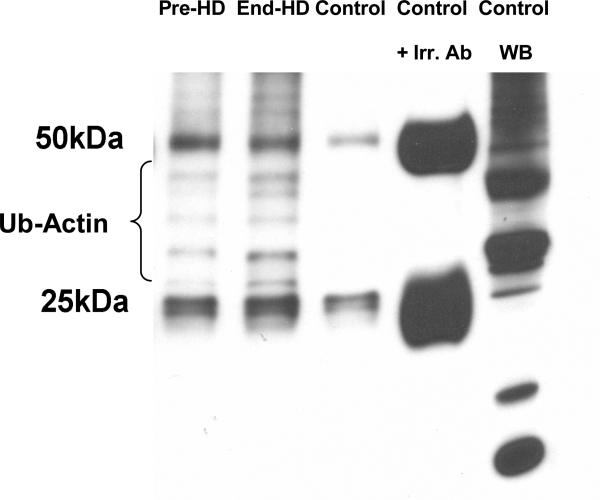 Figure 4 A