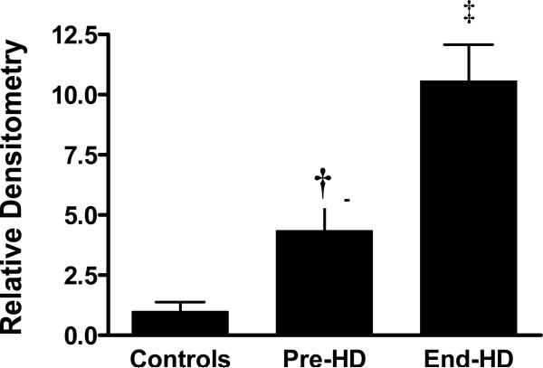 Figure 4 B