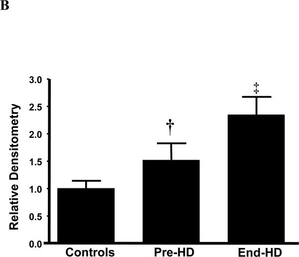 Figure 3 B